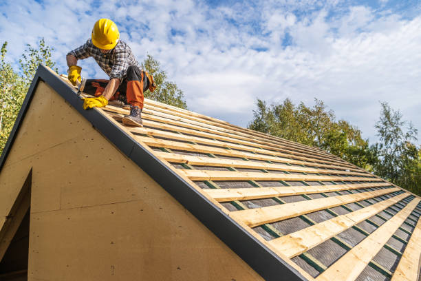 Roof Gutter Cleaning in Newcomerstown, OH
